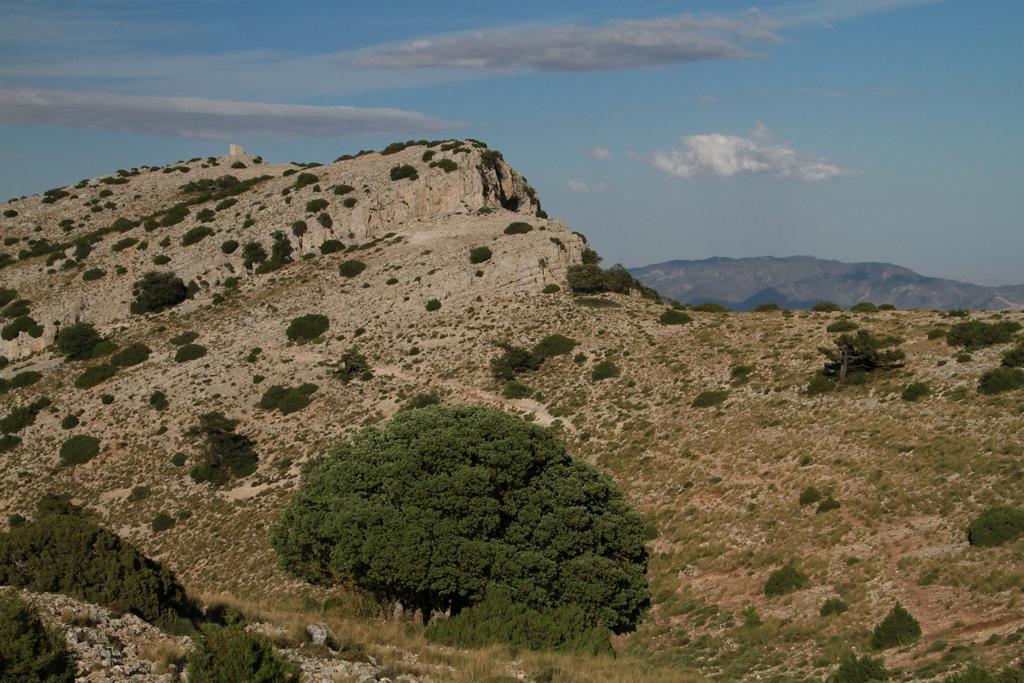Alojamientos Rurales Cortijo Las Golondrinas Alhama de Murcia Exterior foto